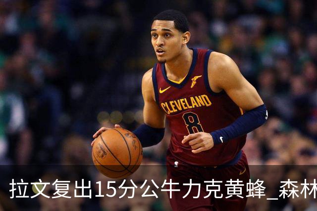 拉文复出15分公牛力克黄蜂 森林狼大胜火箭